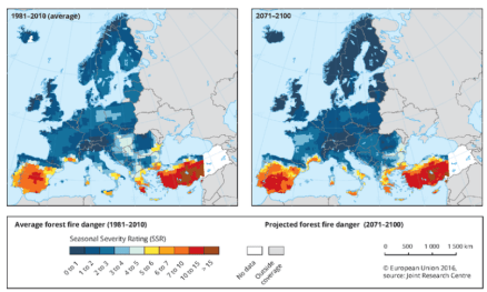 Forest Fire EU