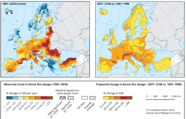 Projected Forest Fires